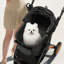 Poussette pour chien Pirecart-117515140