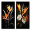 Oiseaux de paradis paradisiaques - 2 pièces-2144983216-2144983213
