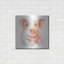 «Farm Friends III» par Lisa Audit-1569719052