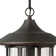 Freeport 1 -Bulb 14" H Outdoor Hanging Lantern