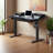 Larreon Electric Height Adjustable Standing Desk-1137388996-1137388994