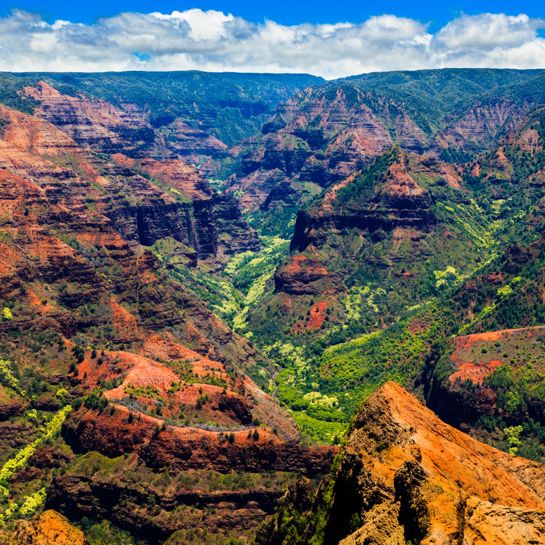 Leinwandbild Waimea Canyon