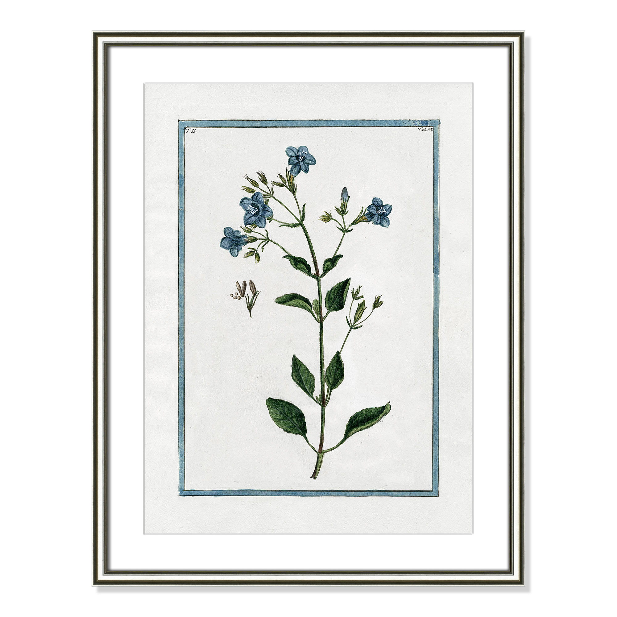 Shabby Elegance Botanical II - Framed Art, 18.25" W x 24.25" H, Silver Framed