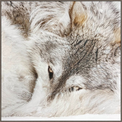 Art mural sur toile Quiet Guardian