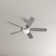 Stoller 44'' Ceiling Fan with LED Lights