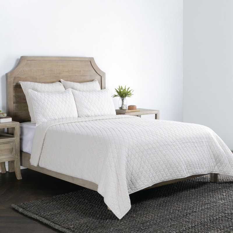 Lana 100% Cotton Sham in, Euro Sham