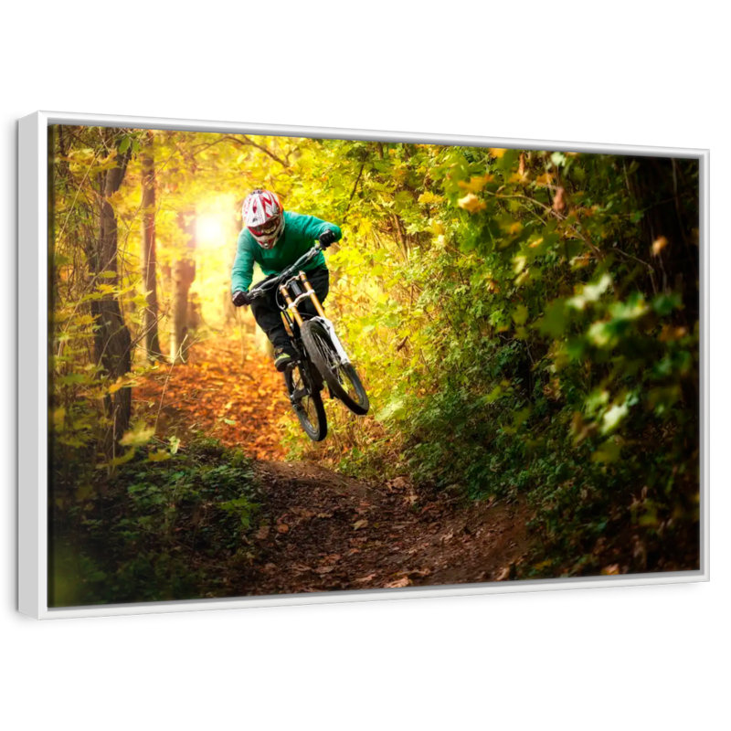 Forest Mountain Bicycle, Floating Frame White, 31" X 21"