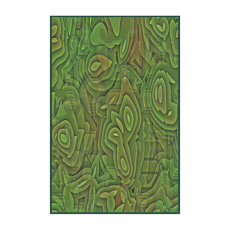 Indoor Rug, Rectangle 4' x 6'