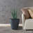 Waitman Pot Planter-1075021821