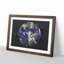 Satellite Image Of Earth - Picture Frame Graphic Art-56876700-56876697
