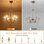 6 - Light Chandelier