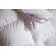 Galaxy 800 Fill Power Extra Warm Goose Down Comforter-859795474