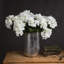 Arrangement-1336139039-1336139033