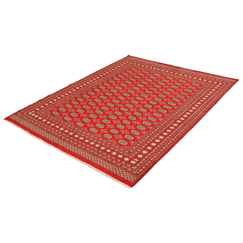 Tapis rouge 8 pi 1 po x 10 pi 0 po Finha Peshawar Bokhara