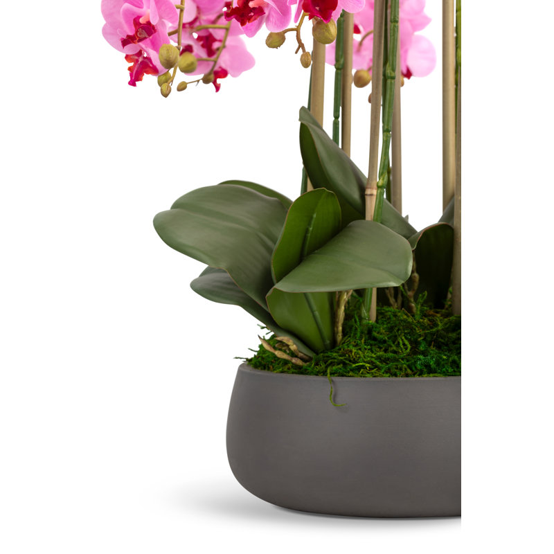 Brianna RealTouch Orchid Arrangement