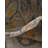 Joshette Oriental Indoor Rug-1888139531