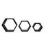 Tablette flottante hexagonale 3 pièces Lashundra