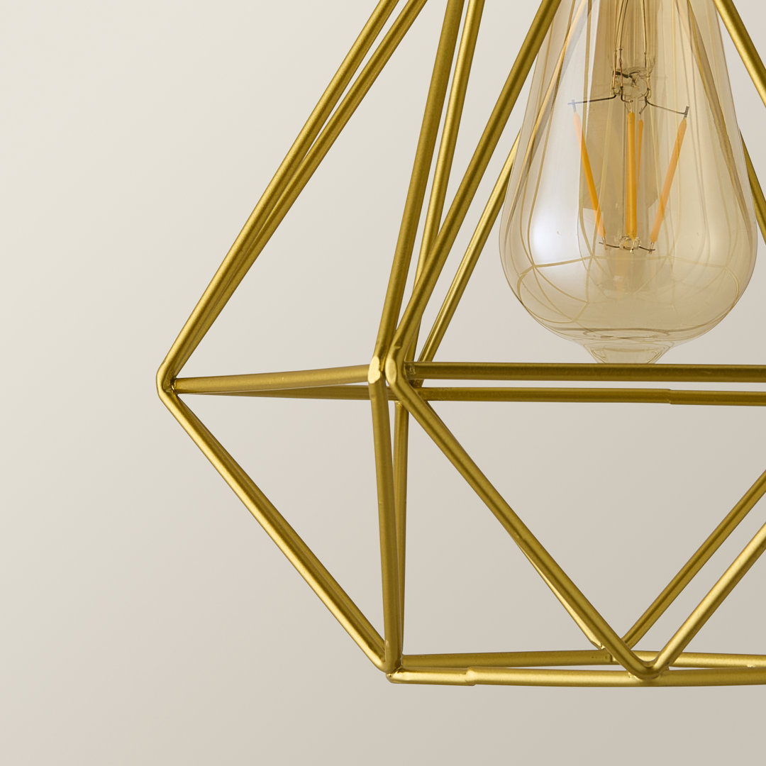 20cm H Metal Novelty Pendant Shade ( Screw On )