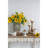 Terracotta Amphora Vase