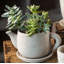 Cement Tea Planters Concrete Statue Planter