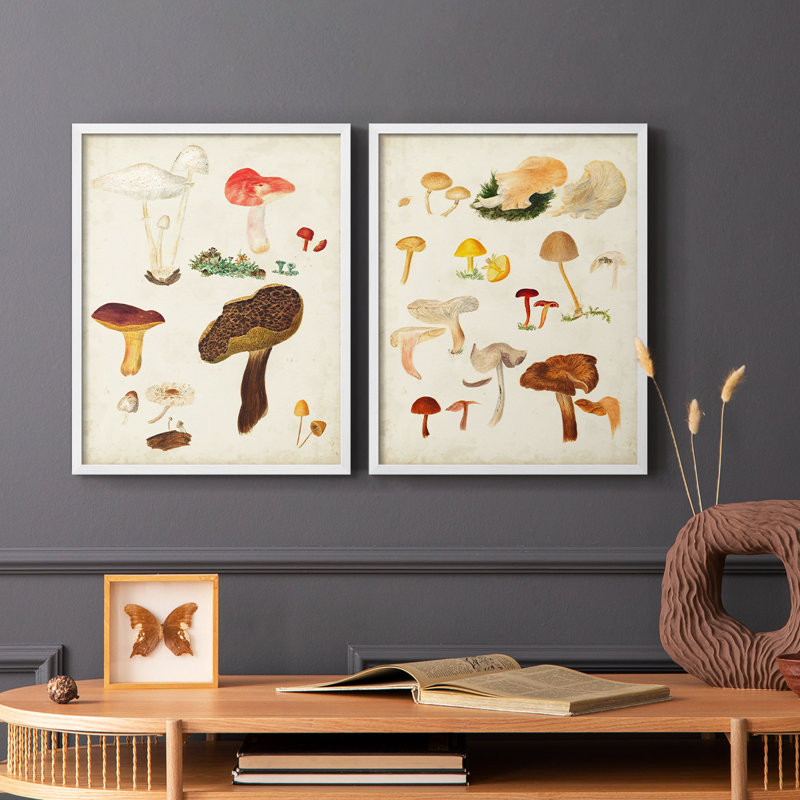 Reproduction encadrée de champignon de qualité supérieure - prêt à accrocher - aucun clou requis, Blanc, H 29 po x l 46 po