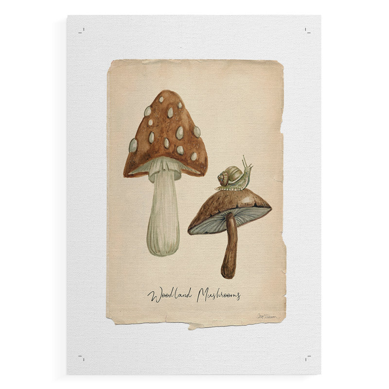 Champignons des bois - Impression sur toile seulement - NON-CADRE, H 12 po x l 8 po