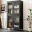 Armoire à 4 portes en verre pour le rangement des chaussures - noir avec portes et tablettes réglables