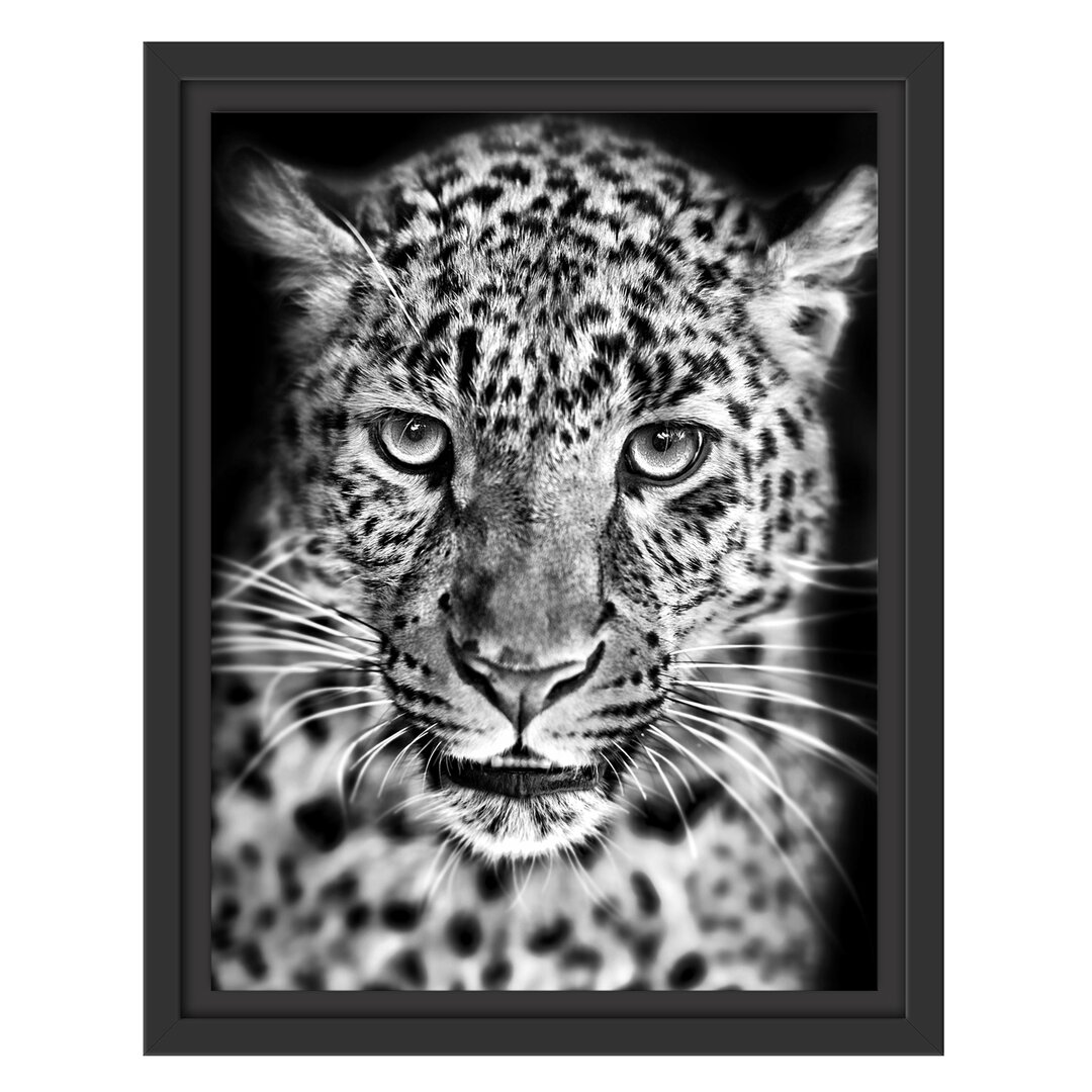 Gerahmtes Wandbild Stolzer Leopard