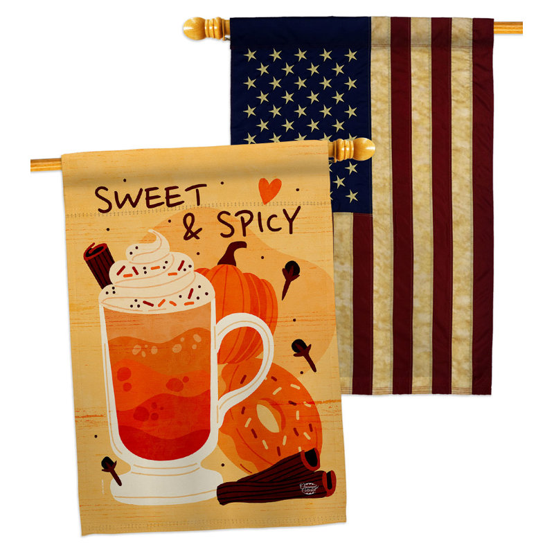 Double Sided 40'' H x 28'' W Polyester House Flag