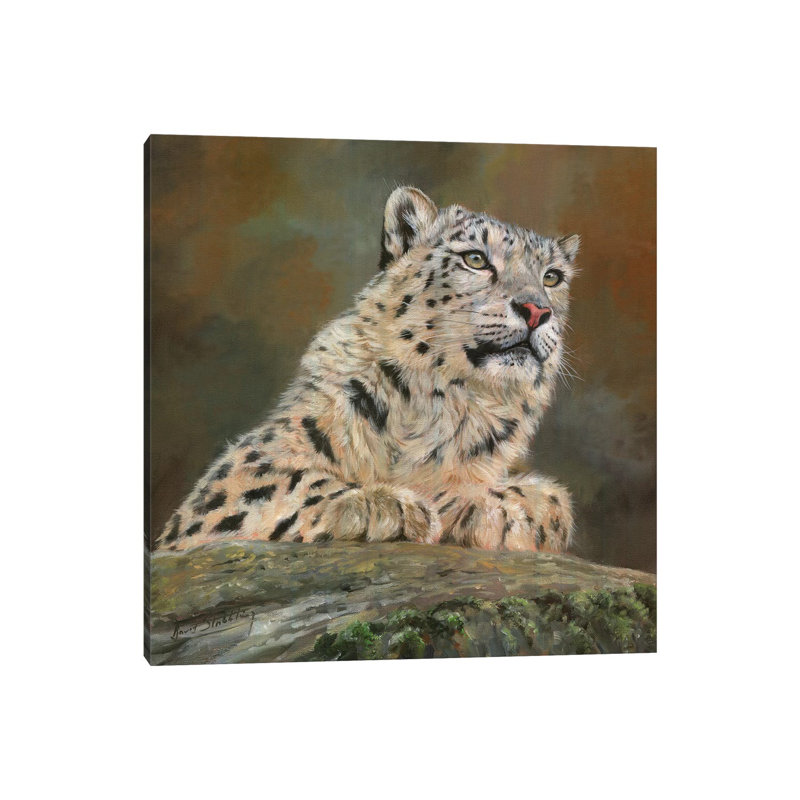 Snow Leopard On Rock by David Stribbling - Wrapped Canvas Gallery-Wrapped Canvas Giclée, 45.72cm H x 45.72cm W