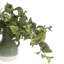 Richason Faux Foliage Plant in Ceramic Vase