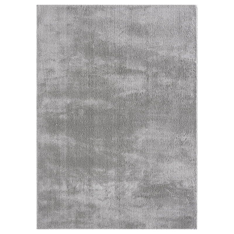 Taeler Washable Modern Living Room Rug Polyester Plain Indoor Area Rug with Low Pile - Anti-Slip Felt Backing SuperSoft Carpet Bedroom-Hallway, Dark Grey