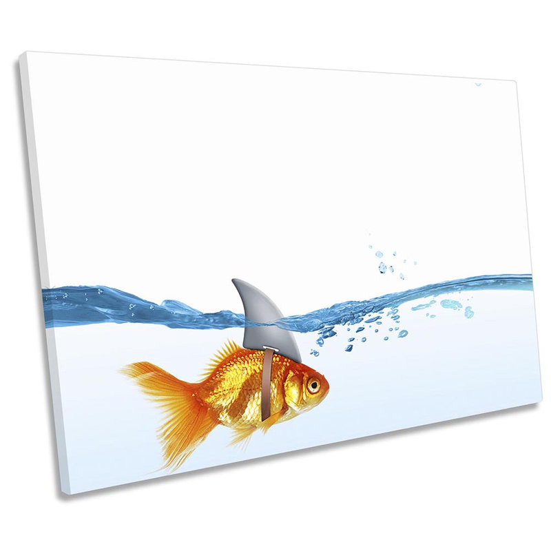 Goldfish Shark Fin Bathroom - Wrapped Canvas Print, 30.5cm  H x 45.7cm  W