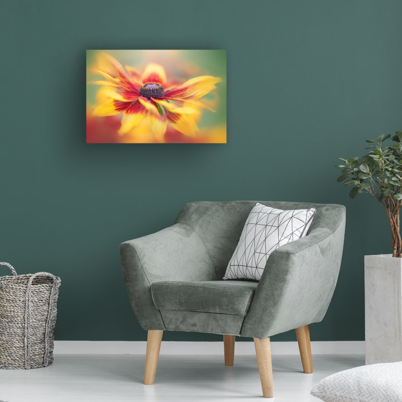 Art sur toile «bolologic Jacky Parker», H 12 po x l 19 po