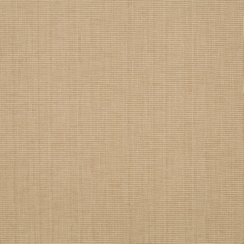 Tissu Arbor, Lin