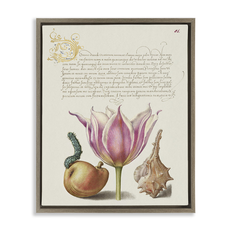 «Flower & Bug Study», art mural encadré sur toile par June Erica Vess, Cadre flottant orme Montalcino, H 21 po x l 17 po