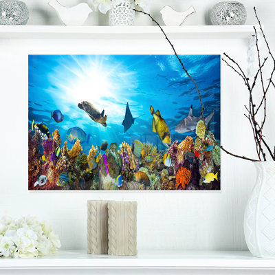 " Colorful Coral Reef with Fishes " Color Photography Print