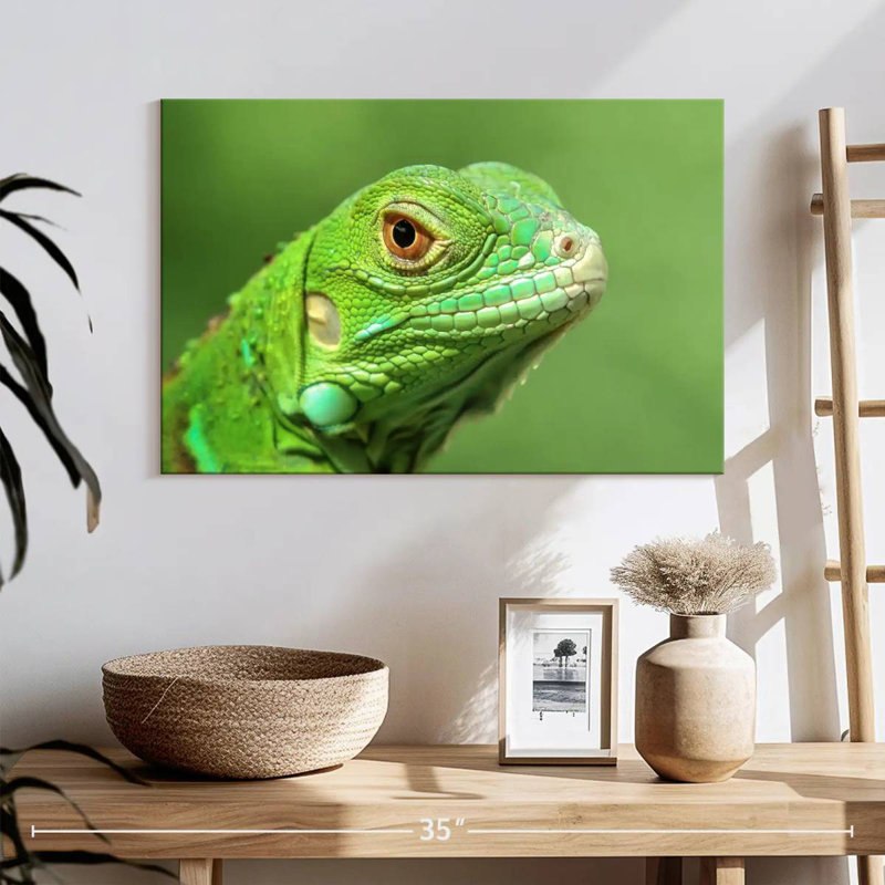 Green Lizard Closeup, 16" H x 24" W
