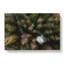 Green Forest N Sweden In Abstract - Wrapped Canvas-55309092