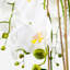 Abigail Gold Realtouch Orchid-537695695
