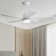 Damecia 52'' Ceiling Fan with LED Lights