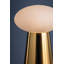 Cashel Rechargeable Table Lamp in Aged Brass