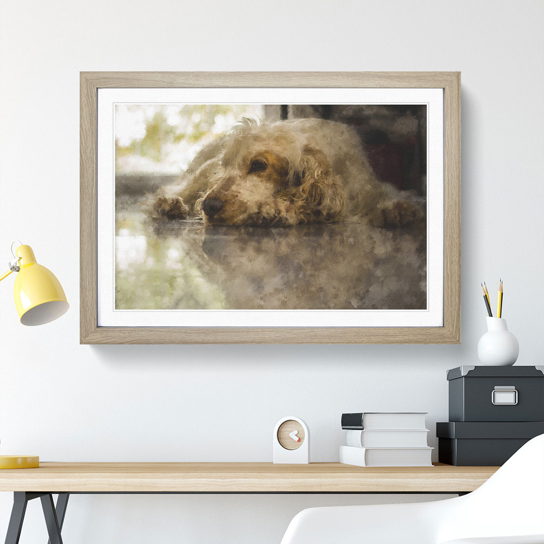 Cocker Spaniel Dog - Picture Frame Graphic Art