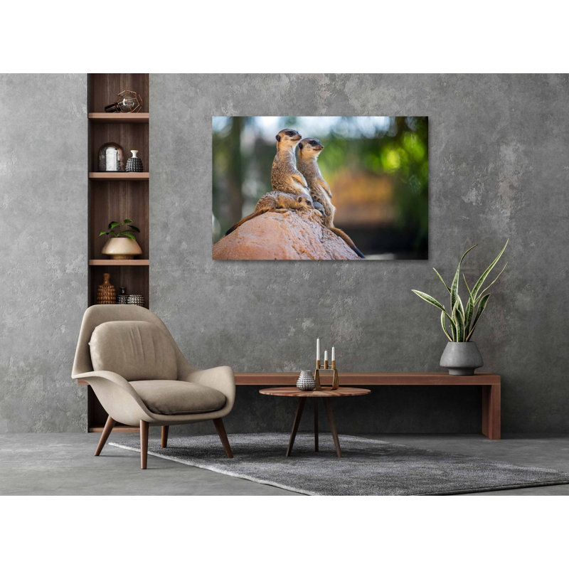 Wildlife 017 - No Frame Rectangle Print Photographic Print on Metal, 98cm H x 148cm W x 10cm D