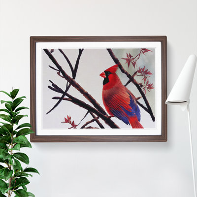 Watercolour Cardinal Bird Vol.4 - Framed Print