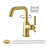 Single-Handle Bathroom Faucet with Drain Assembly