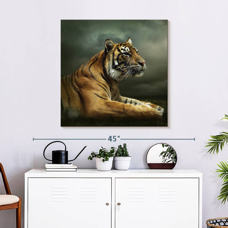 Brampt Stoic Tiger