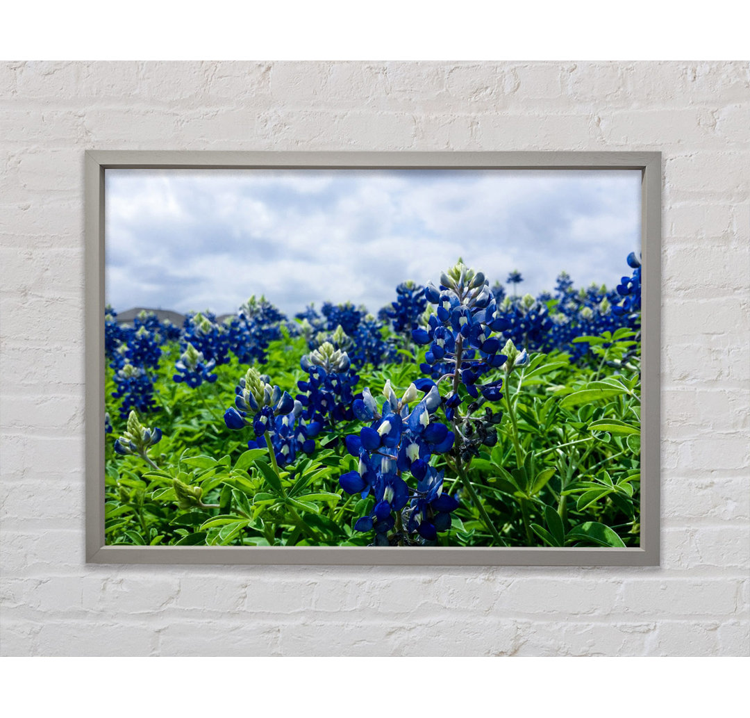 Bue Blumen auf grünen Stängeln - Einzelner Bilderrahmen Kunstdrucke auf Leinwand