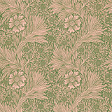 Marigold Wallpaper
