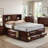 Gurtrude Bookcase Bed-730865059-730865058